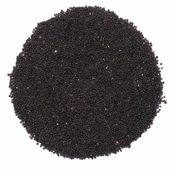 Rzepik dla gołębi, papug, kaarków 1kg